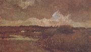 Vincent Van Gogh, Marshy Landscape (nn04)